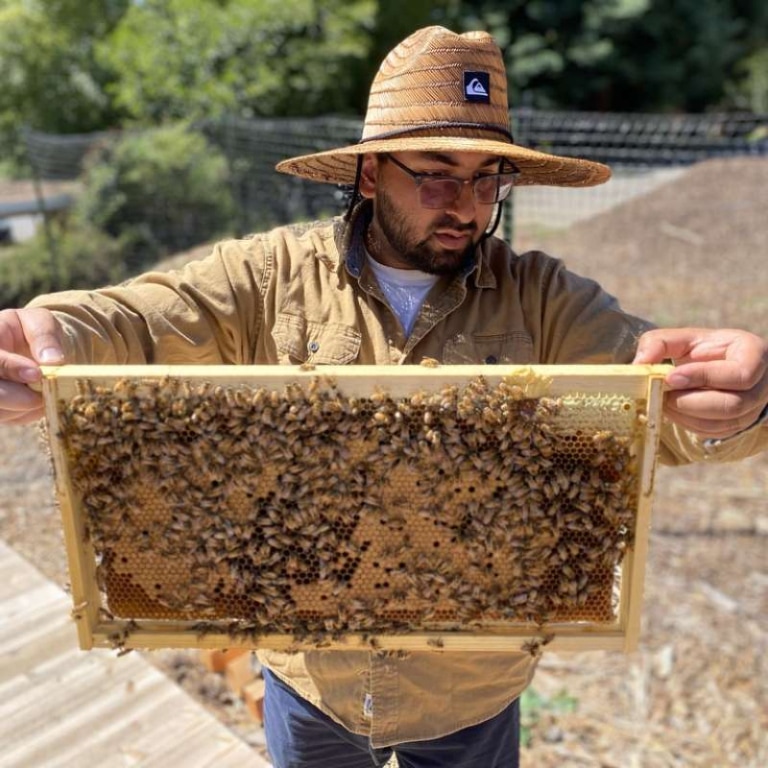 Witnessing God's Care: Bee Hives at the Zaytuna Garden