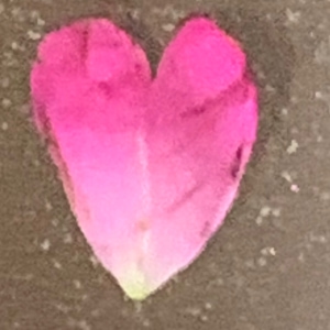 Banner image for Wajiha Basit